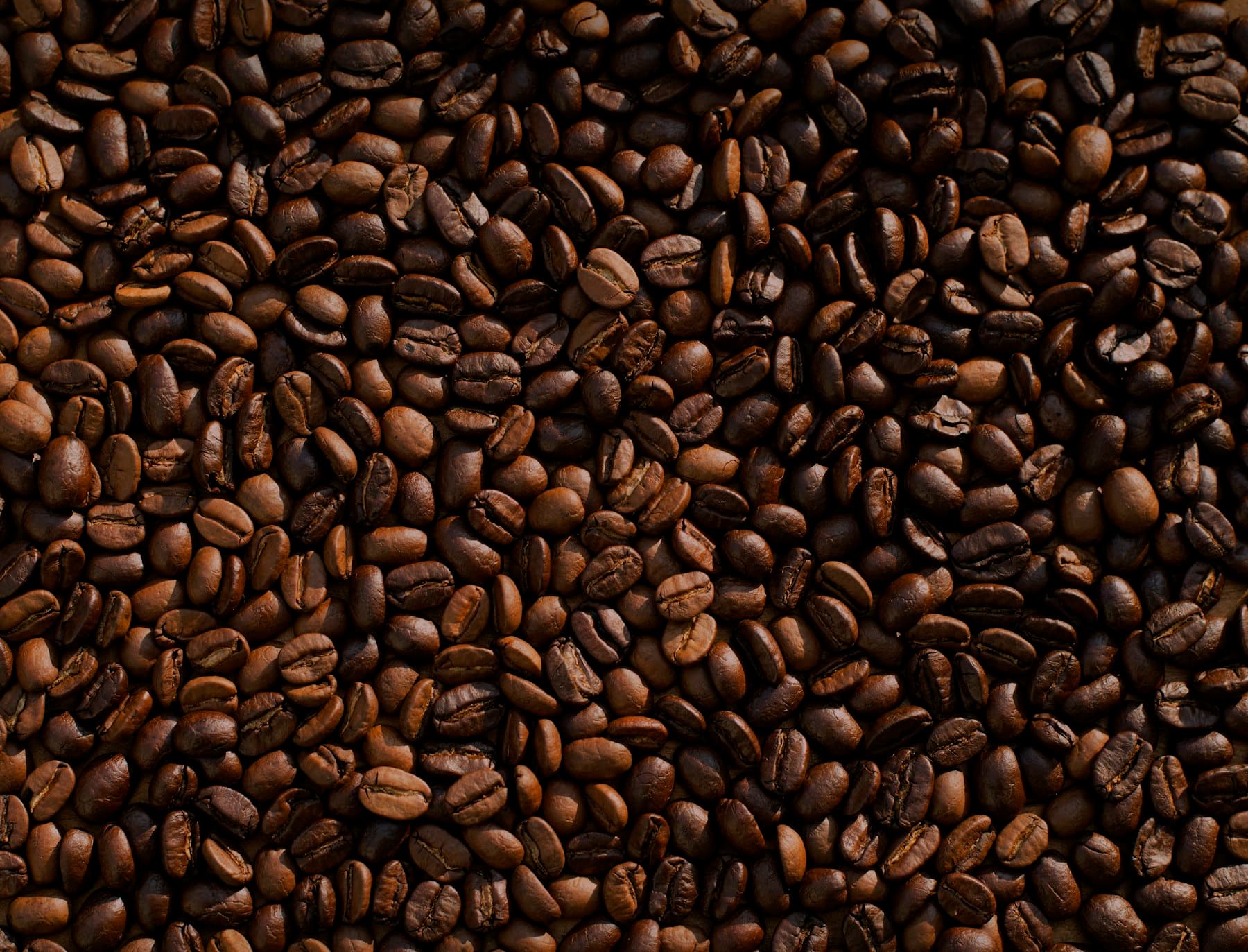 Roasted coffee beans